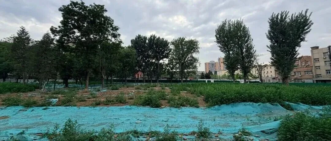 165轮竞价击败央企!这家民企横扫北京土拍市场